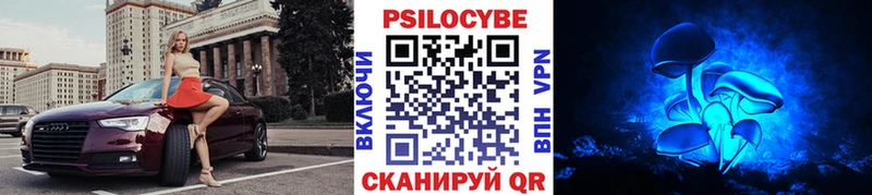 Псилоцибиновые грибы ЛСД  Злынка 
